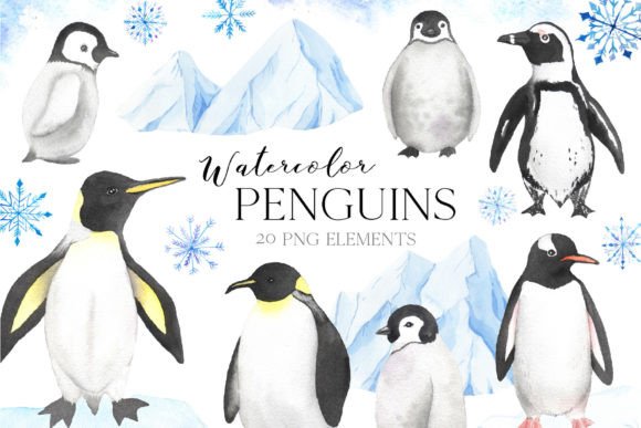 Download Watercolor Penguin Animals Clipart - Penguin Collection