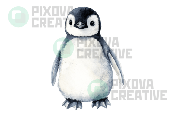 Download Chubby Baby Penguin Graphic PNG - Premium Bundle